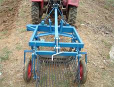 Potato harvester