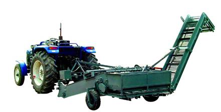 Potato harvester