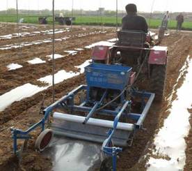 Peanut  seeder