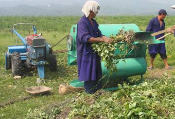 Peanut picker